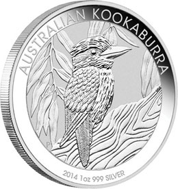silver-kookaburra