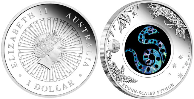 rough-scaled-python-coin